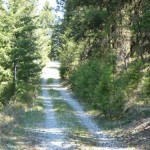 tolada-creek-cabins3-8